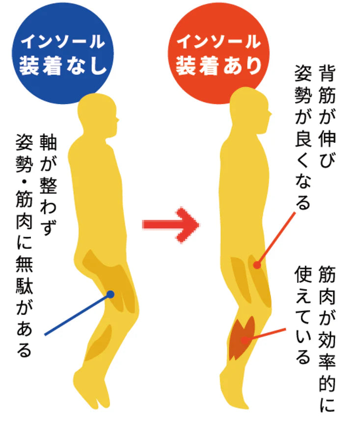 BMZ アシトレキッズ